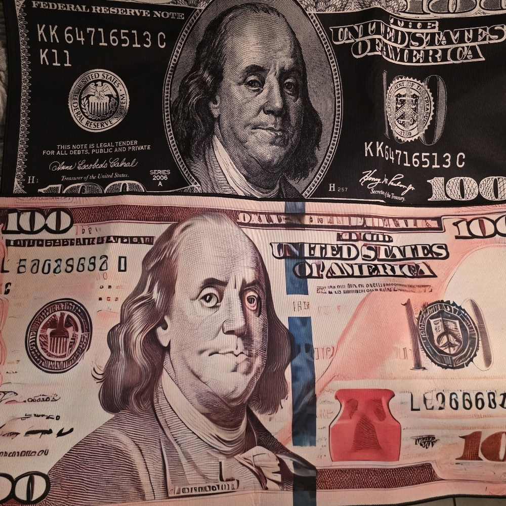 Currency-Themed Wall Art in Black and Pink